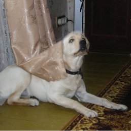 ���� ��������, ����������, 27 ��� - ��������� 19 ������ 2010