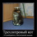 ���� �������, ������, 41 ��� - ��������� 17 ������ 2011 � ������ �������