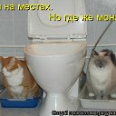 ���� �������, ������, 71 ��� - ��������� 28 ������� 2011 � ������ ���� �������� �����������