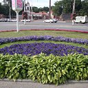 ���� Oldman, ������������ - ��������� 28 ���� 2009 � ������ ���� ������� ����� ������