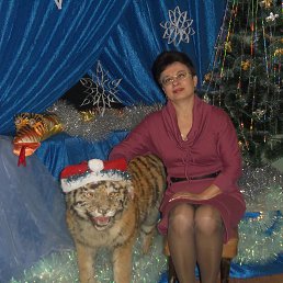 ���� �����, ��������� ������, 63 ���� - ��������� 11 ������ 2013