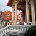 ���� �������������, �����-��������� - ��������� 4 ������� 2009 � ������ �����