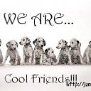 ���� ����), ���������� - ��������� 30 ������ 2009 � ������ ���������