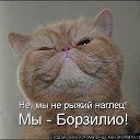 ���� Ninel, ���������, 61 ��� - ��������� 16 ������� 2012 � ������ �����Ȼ