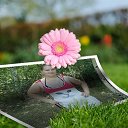 ���� �����, �������, 35 ��� - ��������� 31 ������� 2012 � ������ ���� ����������