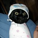 ���� Ninon, ���� - ��������� 20 ������� 2009 � ������ ����������� ����Ȼ