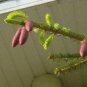 ���� Olesya, ������, 42 ���� - ��������� 13 ������� 2010 � ������ ��������...�