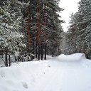 ���� ��� �����, �����������, 50 ��� - ��������� 15 ����� 2010 � ������ �2010�