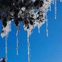 ���� �����, ����� - ��������� 29 ������ 2013 � ������ ���ѻ