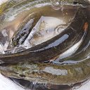 ���� ���������, ������, 56 ��� - ��������� 2 ������� 2013 � ������ ���� ����������