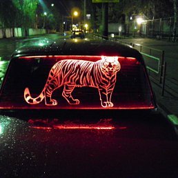 ���� ������, ������, 37 ��� - ��������� 29 �������� 2011