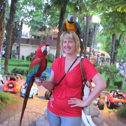 ���� �����, �������, 58 ��� - ��������� 9 ���� 2013