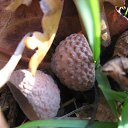 ���� ���������, ���������� - ��������� 23 ������� 2010 � ������ �������������Ż