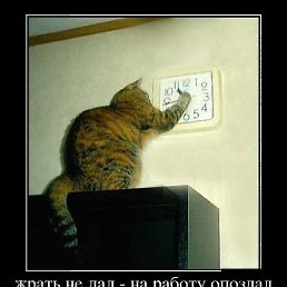   Vip777, , 38  -  13  2013