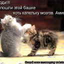 ���� �������, �������� - ��������� 19 ������� 2012 � ������ �������