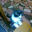 ���� Sergei, ����, 57 ��� - ��������� 22 �������� 2011 � ������ �������