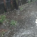 ���� �����, �������, 42 ���� - ��������� 23 ���� 2011 � ������ ���������