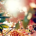 ���� K��k�, ������ ��������, 34 ���� - ��������� 10 ������� 2012 � ������ �������