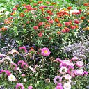 ���� ���������, ������ ��������, 46 ��� - ��������� 29 ������ 2009 � ������ ���� ��������!�