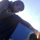 ���� ���������, �����, 33 ���� - ��������� 8 ���� 2013 � ������ ���� ����������