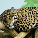 ���� ���, ������, 51 ��� - ��������� 6 ��� 2010