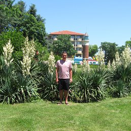 ���� �������, �����, 43 ���� - ��������� 12 �������� 2012