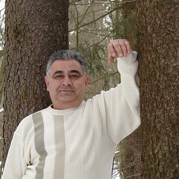 �����, �������, 65 ���