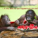  , , 50  -  28  2011   ))))))