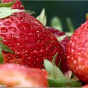 ���� ��������, ����� - ��������� 22 ������� 2009 � ������ ���� �������� ��������