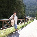 ���� ����, ��������, 54 ���� - ��������� 2 ������� 2010 � ������ ���� ����������