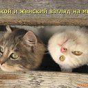 ���� �����, ������, 51 ��� - ��������� 13 ������� 2011 � ������ ���, ��� ������������