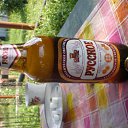 ���� �������, ������, 35 ��� - ��������� 17 ������� 2009 � ������ �������