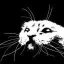 ���� ������, ����������, 33 ���� - ��������� 10 ��� 2012