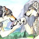 ���� Nadin, �����-���������, 41 ��� - ��������� 16 ��� 2011 � ������ ���� ����������