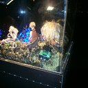  , , 52  -  18  2012     2012