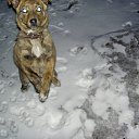 ���� Aleksandr, ���������, 46 ��� - ��������� 4 ������ 2010 � ������ ������ ������