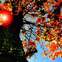 ���� ���������, �������, 70 ��� - ��������� 11 ��� 2012 � ������ ���� ����������