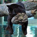 ���� ������, �����-���������, 55 ��� - ��������� 24 ����� 2013 � ������ ���� ����������