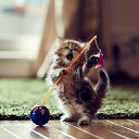 ���� �������, ����� - ��������� 29 ��� 2013 � ������ ���� ����������