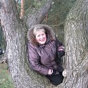  , , 68  -  12  2013   8 .