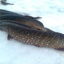 ���� ���������- ���� �������� !!, ������ - ��������� 11 ������� 2013 � ������ �11 ������� 2013�!!!!!�