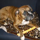 ���� ����, ������, 64 ���� - ��������� 20 ���� 2010 � ������ �������