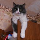 ���� Olezhka***, ����, 65 ��� - ��������� 3 ���� 2012 � ������ ����� ���������