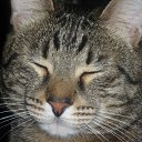 ���� &deg;&bull;*������&deg;&bull;*, ����������, 23 ���� - ��������� 15 ��� 2010 � ������ ���� ��������