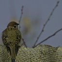 ���� ��������, �������, 58 ��� - ��������� 20 ������ 2012 � ������ �������