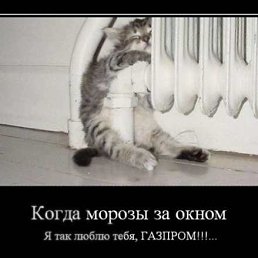 ���� �����, �������, 46 ��� - ��������� 2 ������� 2012