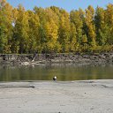 ���� ����, �������, 38 ��� - ��������� 15 ����� 2011 � ������ �������