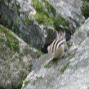 ���� ��������, ����� - ��������� 11 ������� 2009 � ������ �������