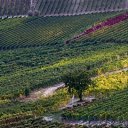 ���� ������, ������, 45 ��� - ��������� 11 ����� 2009 � ������ �������