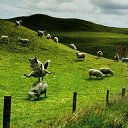  , -, 36  -  24  2010   